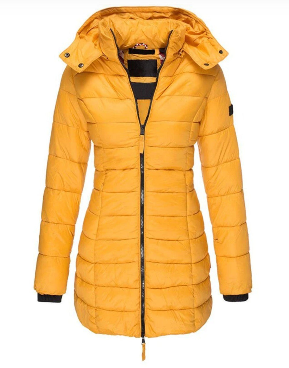 Flavia — Weiche Winterjacke für Damen mit Kapuze und feiner Steppung, Das Modehaus Luzern